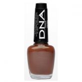 DNA Italy - Cacao