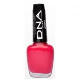 DNA Italy - Amore