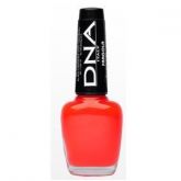 DNA Italy - Fragola